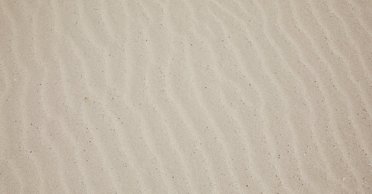 découvrez les enjeux et les stratégies pour atteindre la neutralité climatique, un objectif essentiel pour un avenir durable. explorez les initiatives, les technologies et les actions nécessaires pour réduire les émissions de gaz à effet de serre et préserver notre planète.