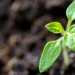 découvrez toutes les clés de la croissance et du développement personnel avec notre contenu sur le thème du growth. des conseils et des astuces pour atteindre vos objectifs et réaliser vos ambitions.