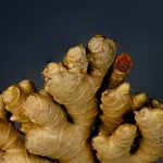 découvrez l'univers fascinant de spie, une entreprise de premier plan dans le domaine des services multitechniques, offrant des solutions innovantes pour accompagner la transition énergétique et digitale des entreprises. explorez nos expertises et nos engagements en matière de durabilité et de performance.