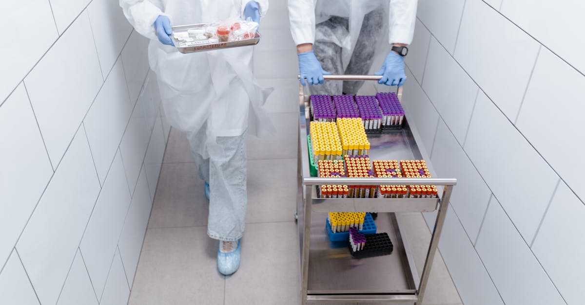 découvrez les dernières avancées en biotechnologie, un domaine révolutionnaire qui combine biologie et technologie pour développer des solutions innovantes en santé, agriculture et environnement.