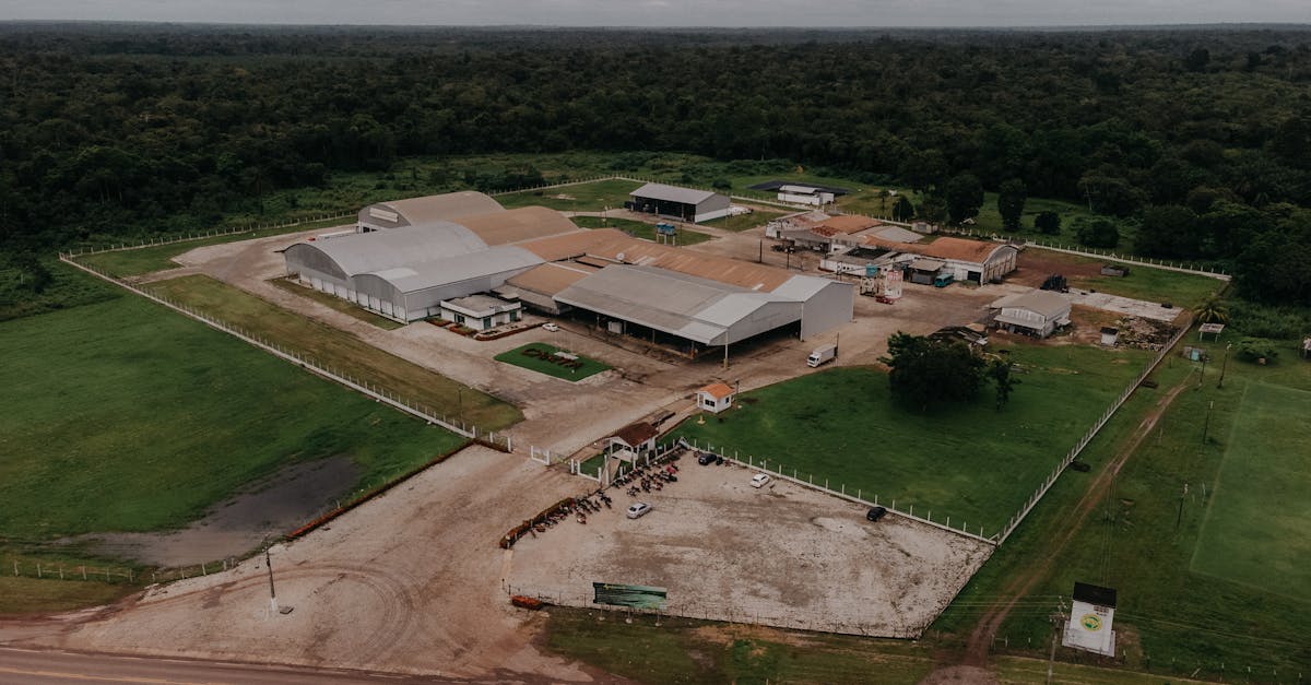 découvrez l'industrie allemande, ses principaux acteurs et son impact sur l'économie mondiale.