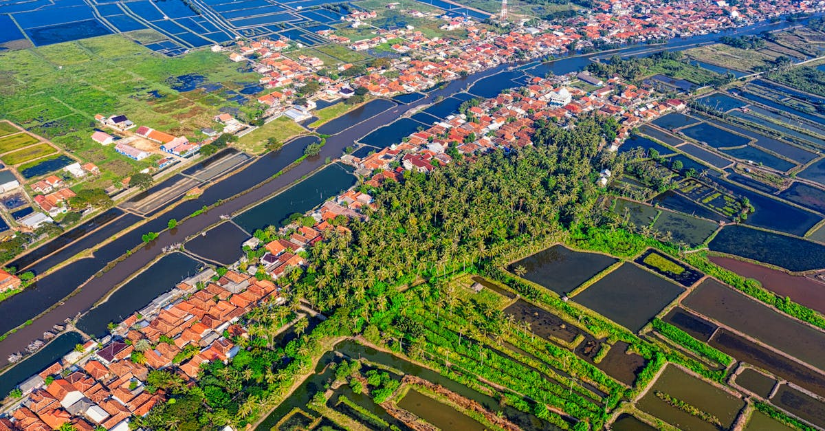 découvrez les charmes des zones rurales et plongez dans un univers authentique, entre nature préservée et traditions locales.