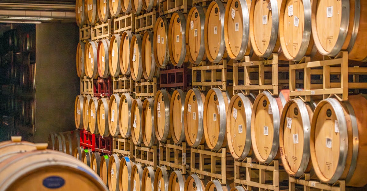 découvrez l'univers passionnant de l'industrie vinicole et ses tendances actuelles dans le monde de la viticulture et de l'œnologie.
