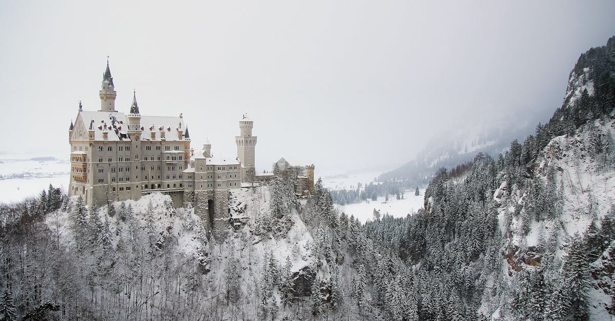 découvrez l'allemagne, un pays riche en histoire, culture et innovation. explorez ses grandes villes, ses paysages pittoresques et sa délicieuse cuisine. que ce soit pour un voyage touristique ou des affaires, l'allemagne vous offre une expérience inoubliable.