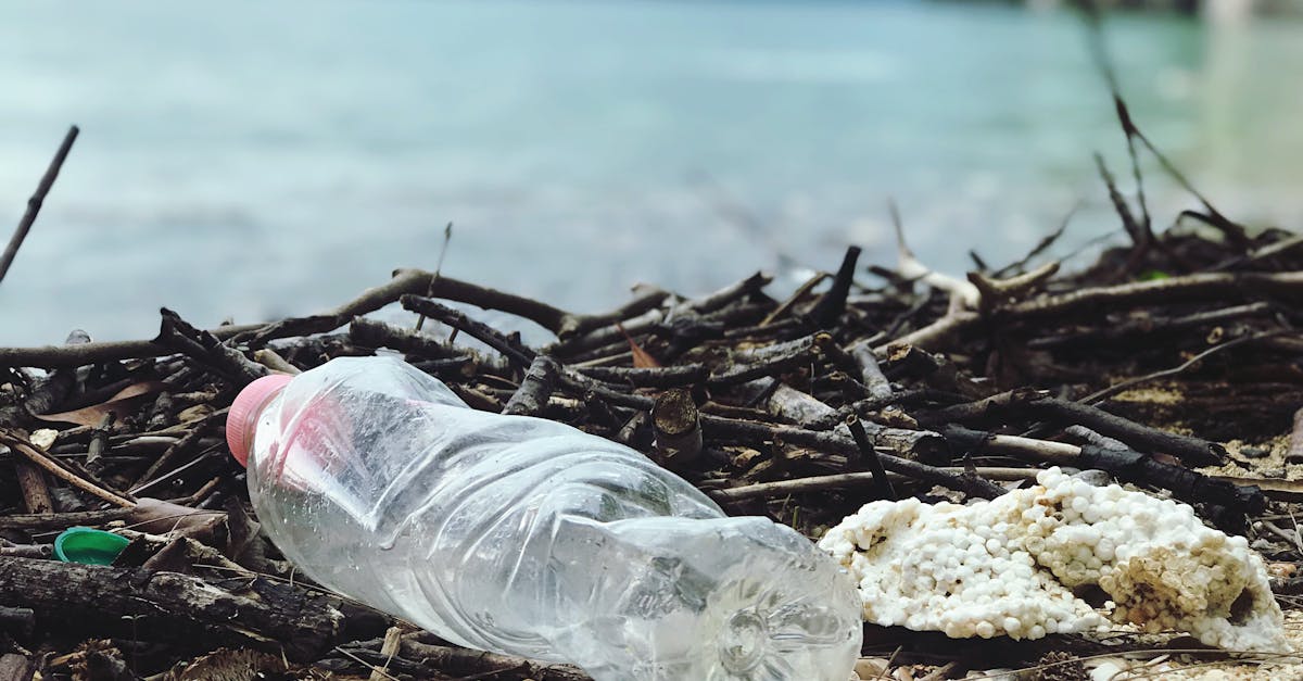 découvrez l'impact des mégots de cigarette sur l'environnement et la pollution. apprenez comment cette source de déchet négligée affecte notre planète et explorez des solutions pour réduire cette pollution massive et protéger notre écosystème.