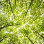 découvrez les avantages de l'énergie verte, une source renouvelable et durable qui contribue à la protection de notre planète. informez-vous sur les technologies vertes, les stratégies d'économie d'énergie et les solutions écologiques pour un avenir plus durable.