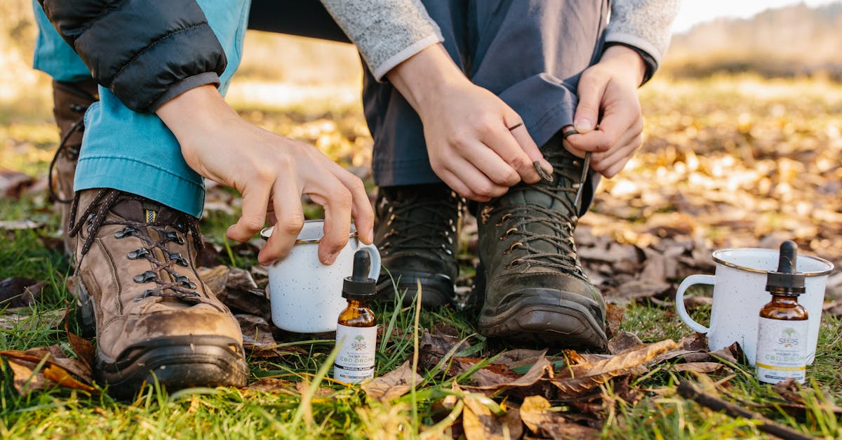 découvrez le chanvre, une plante polyvalente aux multiples usages : textile, alimentaire, cosmétique et bien plus encore. explorez ses bienfaits pour la santé, l'environnement et l'économie. apprenez comment le chanvre peut transformer votre mode de vie durable.
