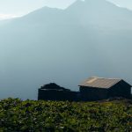 découvrez les e-fuels, une alternative énergétique prometteuse qui utilise des technologies innovantes pour produire des carburants durables. apprenez comment ces combustibles synthétiques peuvent contribuer à la réduction des émissions de carbone et à la transition énergétique vers un avenir plus vert.
