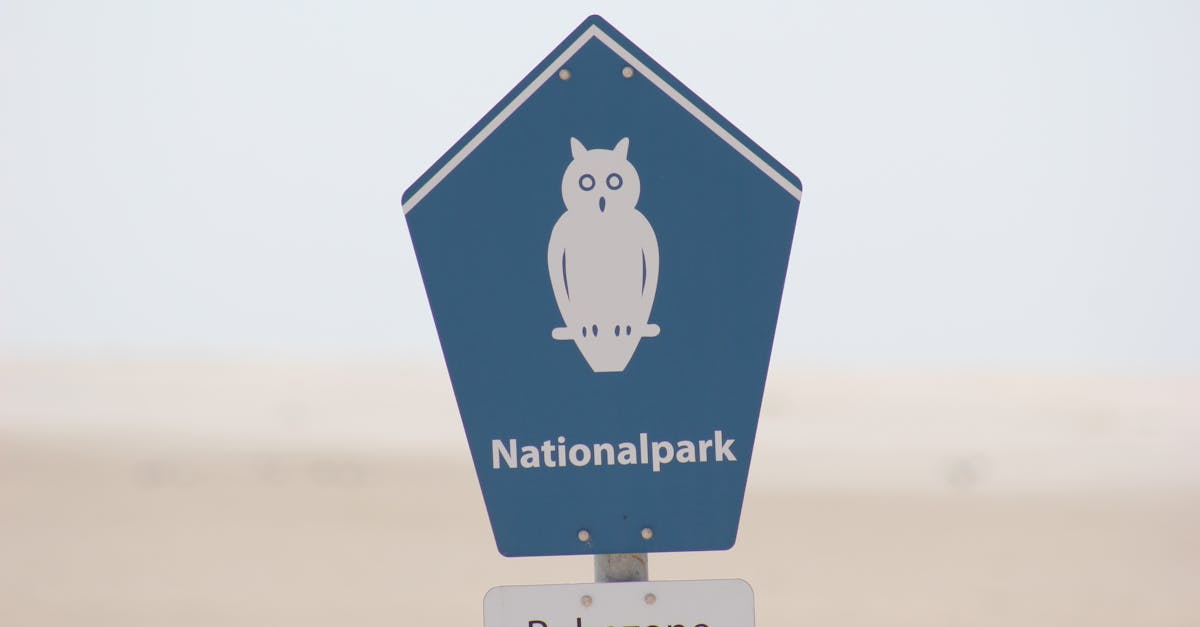 découvrez l'industrie allemande, un pilier de l'économie européenne, réputée pour son innovation, sa qualité et son excellence technique. explorez les secteurs clés, les entreprises leaders et les tendances qui façonnent le paysage industriel en allemagne.