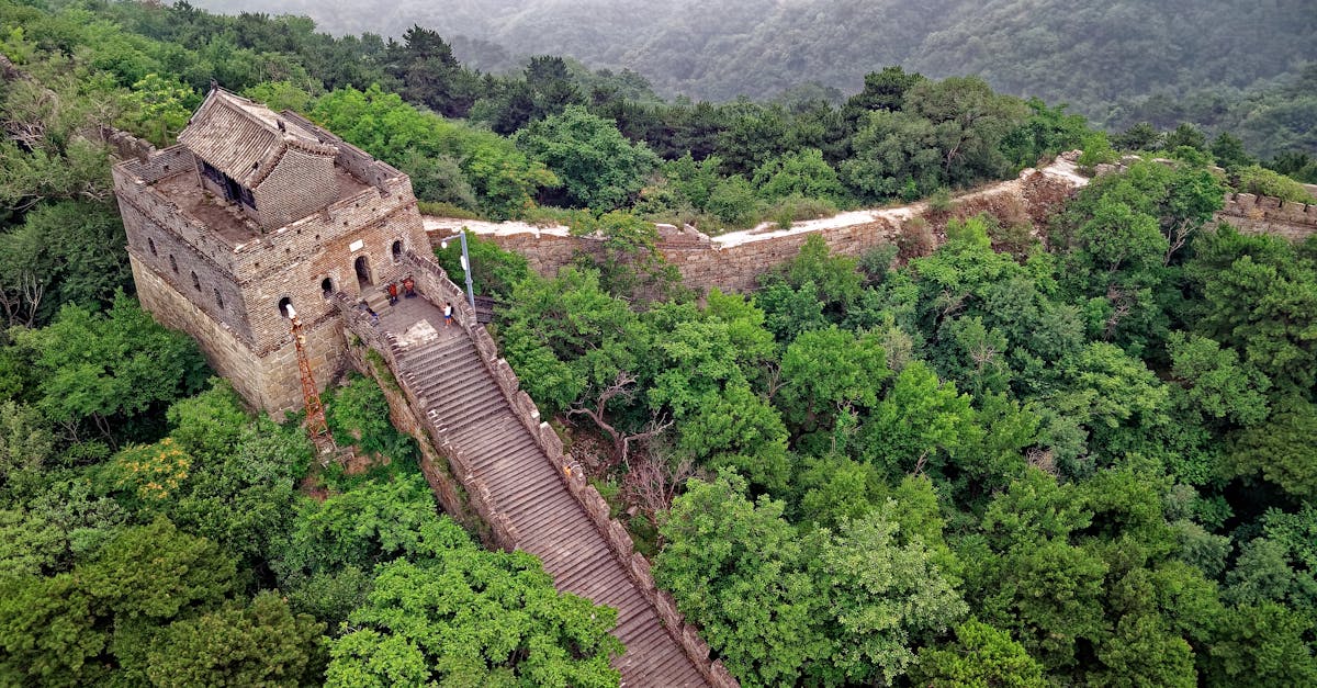 découvrez le fascinant pays qu'est la chine, riche en histoire, culture et traditions. explorez ses paysages variés, de la grande muraille aux villes modernes, tout en apprenant sur sa cuisine, ses festivals et son héritage millénaire.
