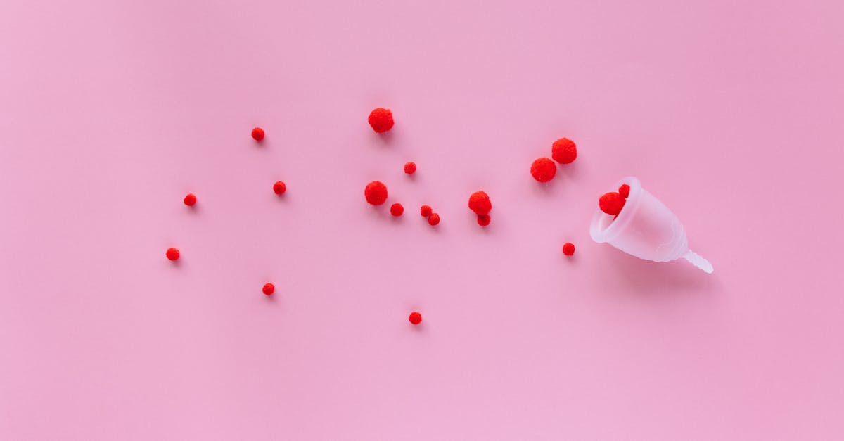 découvrez le pmi (project management institute), l'organisme mondial dédié à la promotion des meilleures pratiques en gestion de projet. explorez nos ressources, formations et certifications pour améliorer vos compétences et optimiser vos projets.