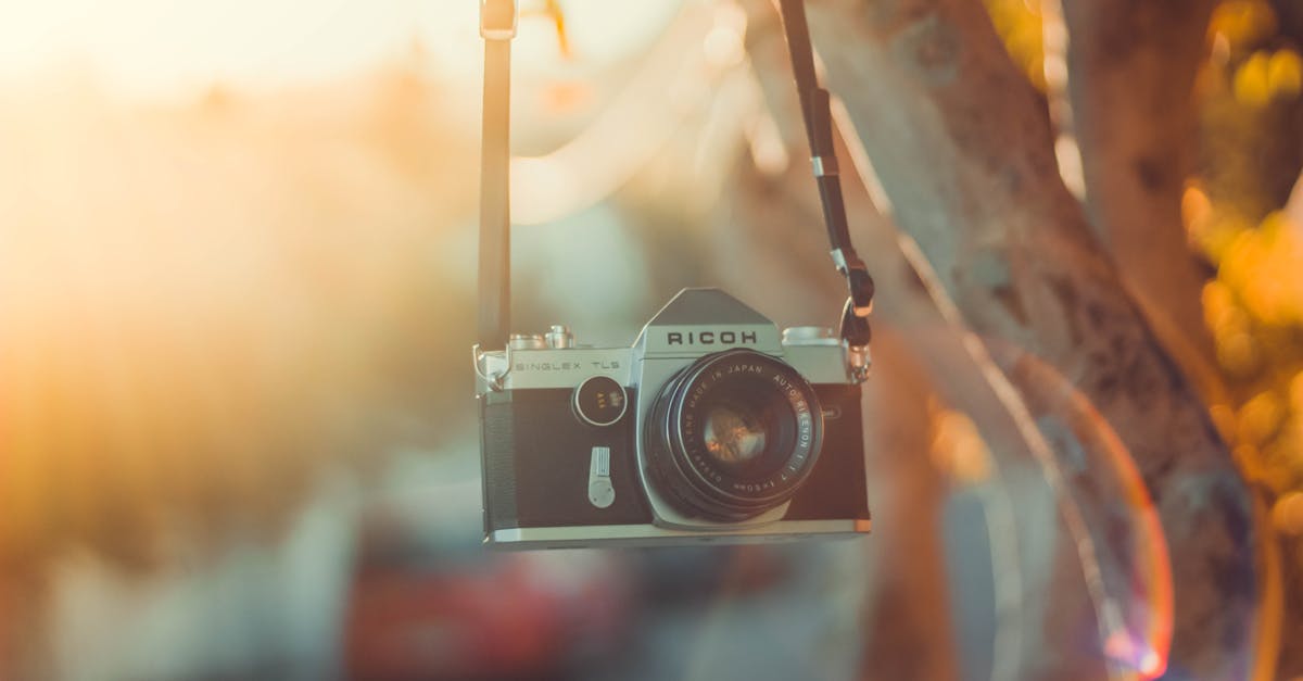 découvrez l'univers de ricoh, un leader mondial en solutions d'impression, de gestion documentaires et de technologies d'entreprise. explorez nos produits innovants, notre engagement envers la durabilité et les services qui maximisent l'efficacité de votre entreprise.