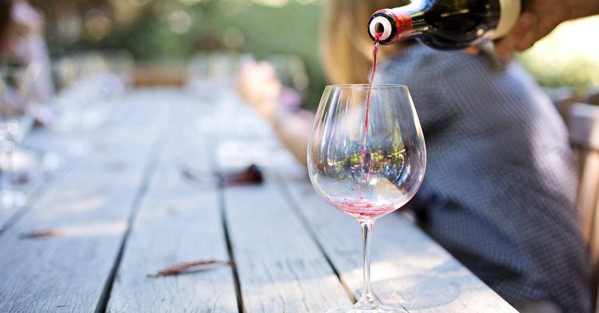 découvrez l'univers fascinant du vin, ses variétés, régions viticoles et conseils de dégustation. plongez dans l'art de l'œnologie et savourez chaque gorgée avec passion.