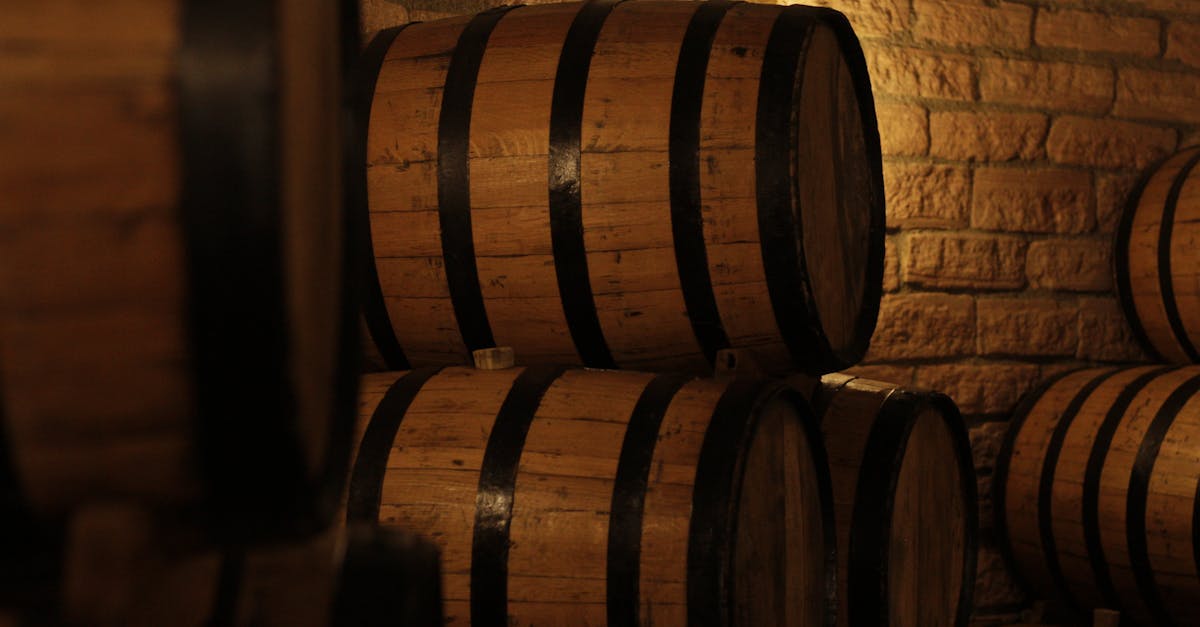 découvrez le monde fascinant de la production de vin, des vignes aux techniques de vinification. apprenez comment le climat, le terroir et les savoir-faire traditionnels influencent la création de vins d'exception.