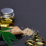 découvrez tout ce qu'il faut savoir sur le cannabis : ses effets, ses usages médicaux et récréatifs, ainsi que les enjeux légaux associés. informez-vous et explorez les différents aspects de cette plante fascinante.