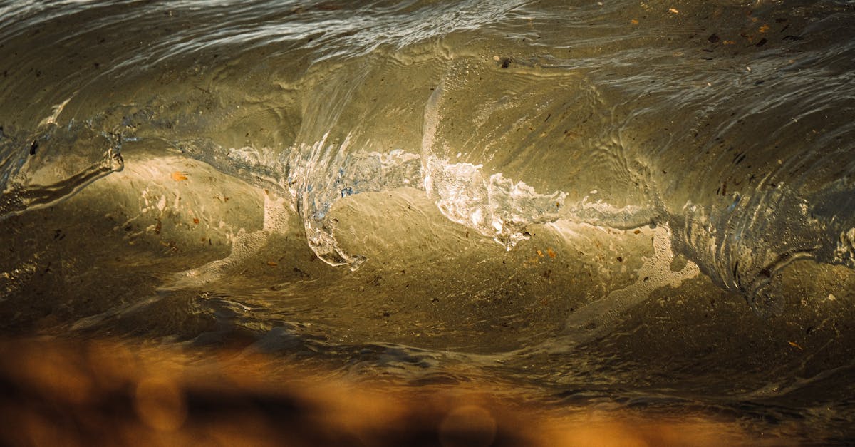 découvrez l'impact des réformes électorales sur la démocratie, la participation citoyenne et la qualité des élections. analysez les changements récents et leur influence sur le système politique.