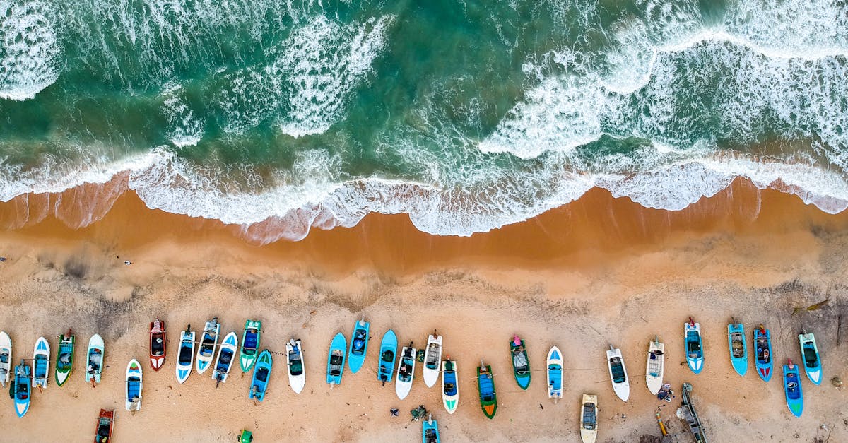 découvrez les merveilles du tourisme à travers le monde. explorez des destinations fascinantes, vivez des expériences inoubliables et laissez-vous inspirer par la beauté et la diversité culturelle que chaque voyage peut offrir.