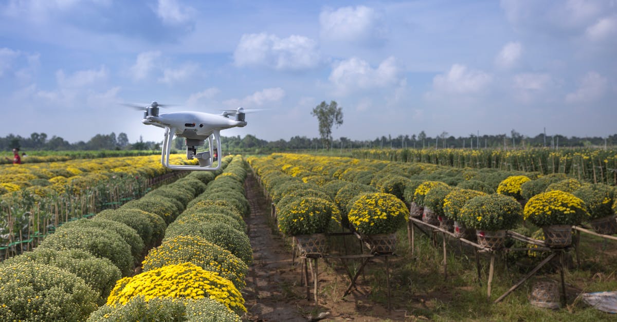 découvrez les dernières innovations en matière de technologie des drones, leur utilisation dans divers secteurs comme l'agriculture, la sécurité et la livraison, ainsi que l'avenir prometteur de cette technologie révolutionnaire.