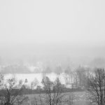 découvrez les enjeux de la neutralité climatique, un objectif crucial pour préserver notre planète. apprenez comment les actions individuelles et collectives peuvent contribuer à réduire les émissions de gaz à effet de serre et à promouvoir un avenir durable.