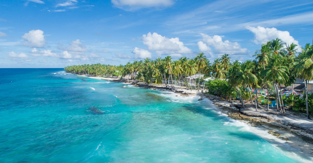 découvrez les meilleures destinations touristiques à travers le monde, des conseils de voyage inestimables, des expériences uniques et des activités inoubliables pour chaque type de voyageur.