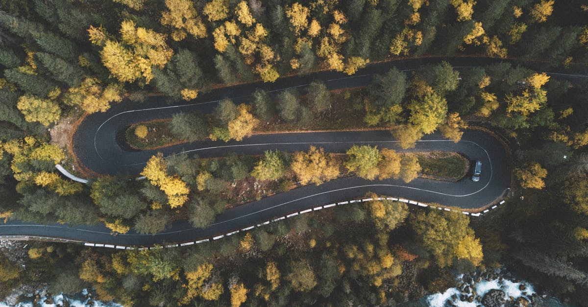découvrez l'univers de l'automobile : tendances, innovations, conseils d'entretien et actualités du secteur. restez informé sur tout ce qui concerne les voitures, qu'il s'agisse de nouvelles technologies ou de conseils d'achat.