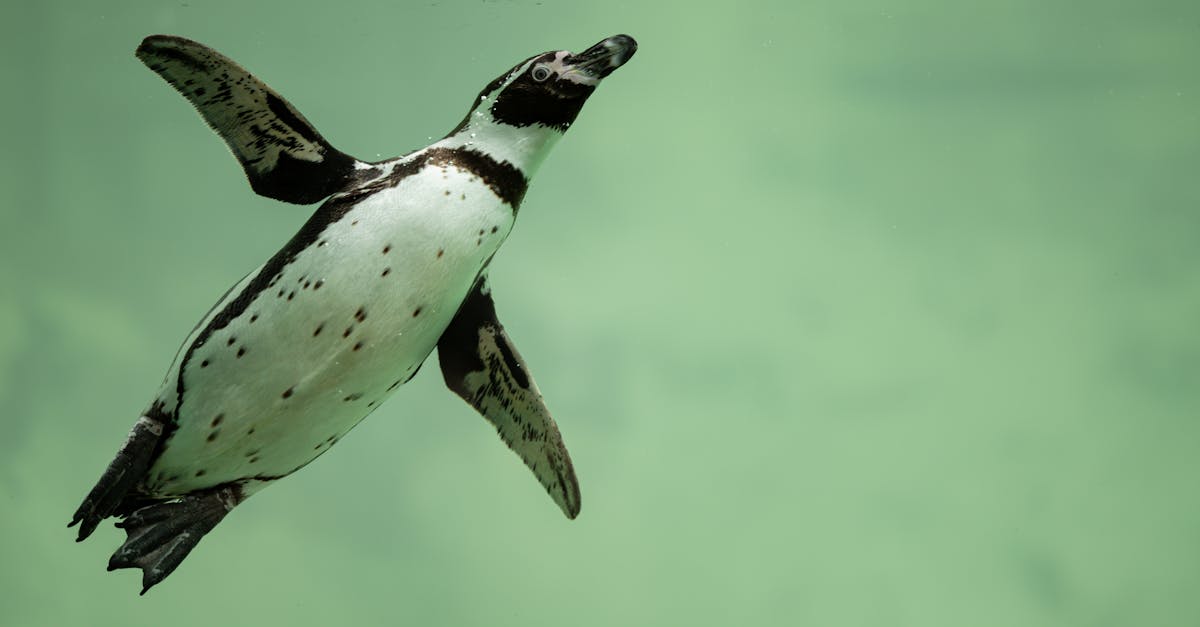 découvrez les objectifs climatiques et leur impact sur notre planète. engagez-vous pour un avenir durable en explorant des stratégies innovantes et des initiatives globales visant à réduire les émissions de gaz à effet de serre et à préserver notre environnement.