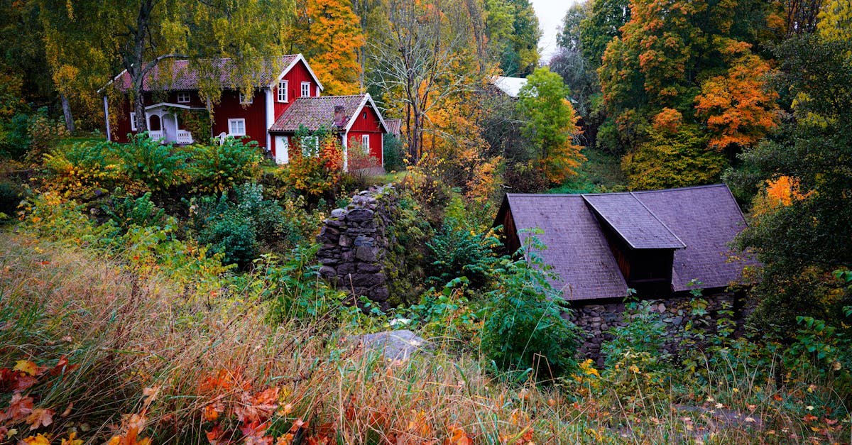 découvrez l'excellence européenne à travers ses innovations, sa culture riche et ses leaders inspirants. explorez les réalisations qui font de l'europe un modèle de qualité et d'innovation.