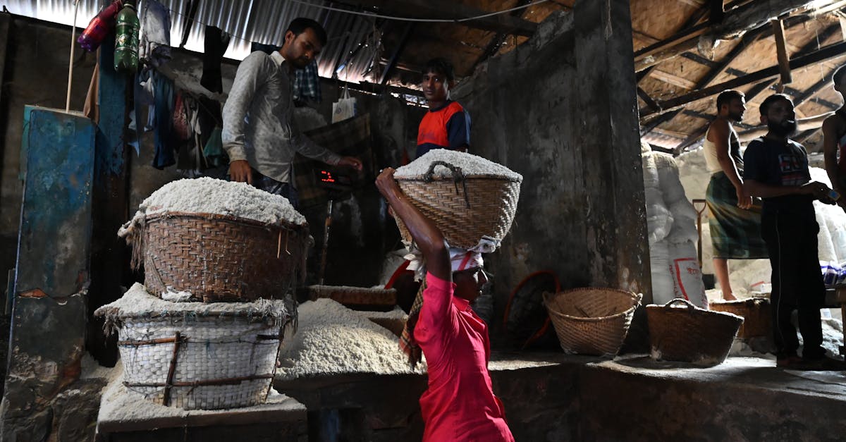 découvrez le marché immobilier industriel et logistique en allemagne, un secteur dynamique et en pleine expansion. analysez les tendances actuelles, les opportunités d'investissement et les évolutions du marché immobilier qui soutiennent la croissance économique du pays.