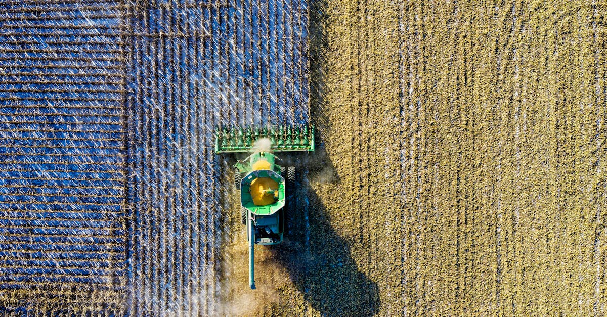 découvrez l'univers de la production industrielle, où innovation et efficacité s'unissent pour transformer les matières premières en produits de qualité. explorez les dernières tendances, technologies et pratiques durables qui façonnent l'avenir de l'industrie.