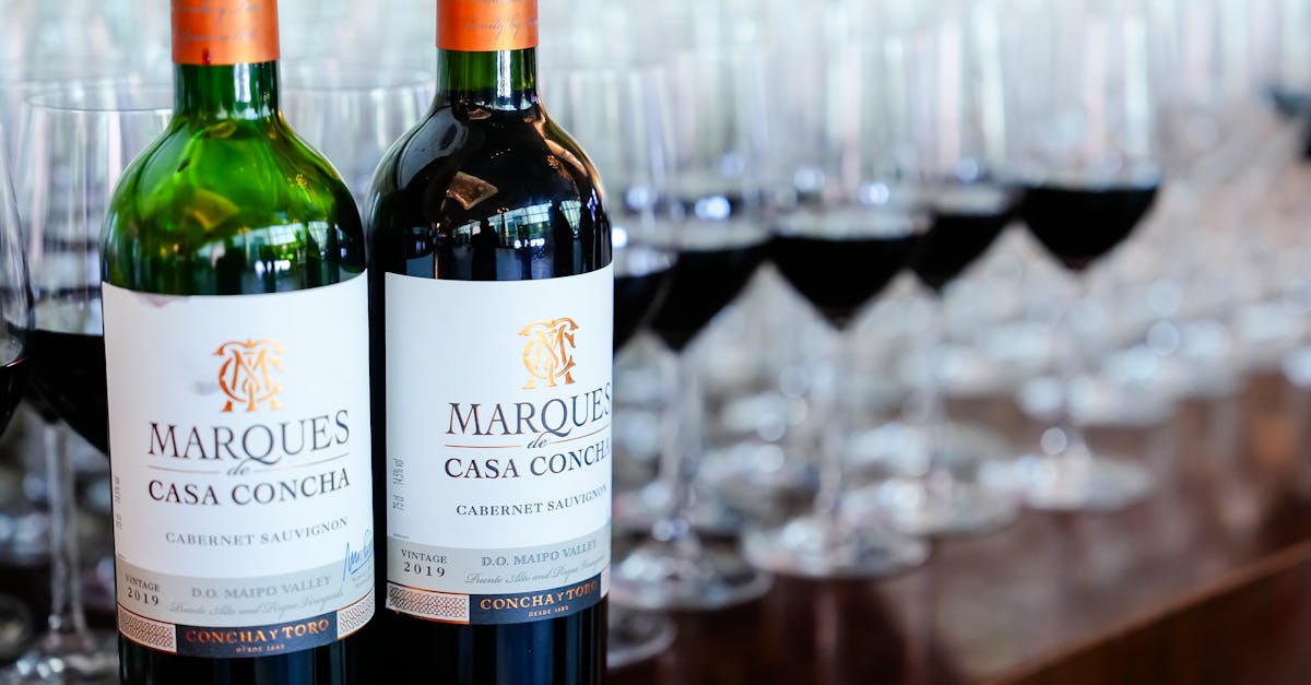 découvrez les enjeux et les tendances de l'industrie du vin, qui allie tradition et innovation. explorez les différents aspects de la production viticole, du vignoble à la commercialisation, ainsi que les défis environnementaux et économiques auxquels fait face ce secteur passionnant.