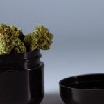 découvrez les cannabis clubs, des espaces dédiés aux amateurs de cannabis où convivialité et partage d'informations se rencontrent. explorez un environnement légal et sécurisé pour échanger des expériences, conseils et produits liés à la culture du cannabis.