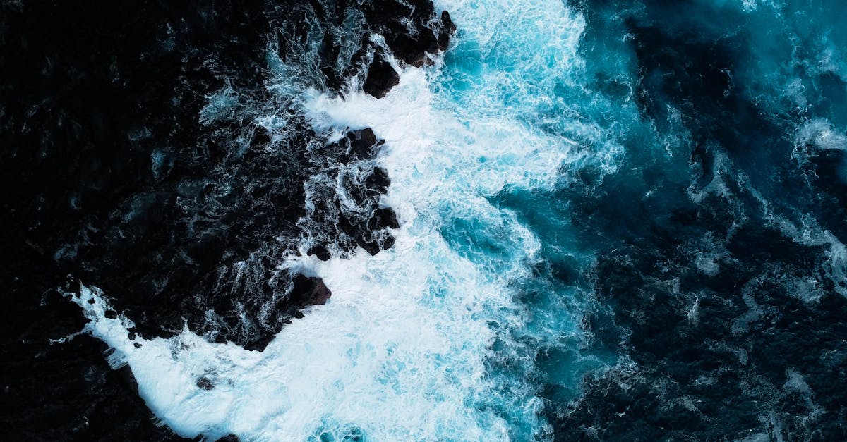 découvrez le voyage sans visa : explorez le monde sans tracas administratifs et visitez des destinations de rêve facilement. profitez de séjours simples et rapides dans plusieurs pays avec des procédures allégées.