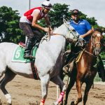 découvrez l'univers fascinant des courses de chevaux, où l'adrénaline, la stratégie et la passion se rencontrent. suivez les résultats des courses, les chevaux vedettes et les jockeys talentueux. préparez-vous à vibrer au rythme des compétitions et à parier sur vos favoris !