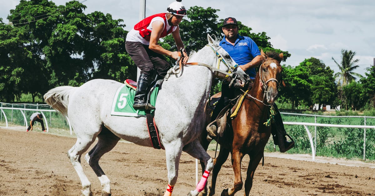 découvrez l'univers fascinant des courses de chevaux, où l'adrénaline, la stratégie et la passion se rencontrent. suivez les résultats des courses, les chevaux vedettes et les jockeys talentueux. préparez-vous à vibrer au rythme des compétitions et à parier sur vos favoris !