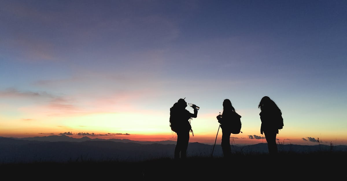 découvrez des expériences inoubliables avec notre guide sur le tourisme. explorez les plus belles destinations, des conseils pratiques et des astuces pour des vacances parfaites.