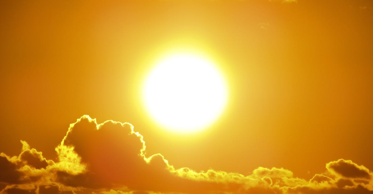 découvrez les différentes facettes du déclin, qu'il soit économique, écologique ou social. plongez dans une analyse approfondie des causes et des conséquences de cette tendance alarmante, ainsi que des solutions potentielles pour inverser la situation.