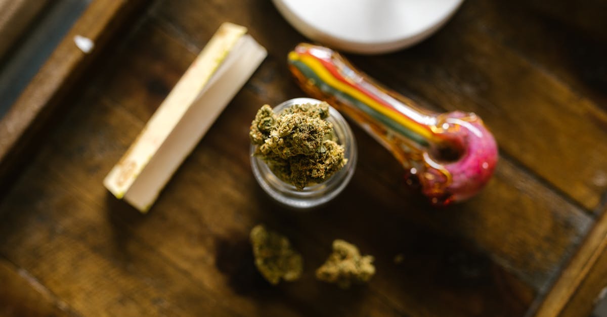découvrez tout sur les cannabis clubs : un espace de rencontre pour les passionnés de cannabis où partager connaissances, expériences et culture. informez-vous sur leur fonctionnement, les avantages d'adhérer et les meilleures pratiques pour profiter pleinement de cette communauté. rejoignez un mouvement en pleine expansion et explorez l'univers du cannabis dans un cadre convivial et respectueux.