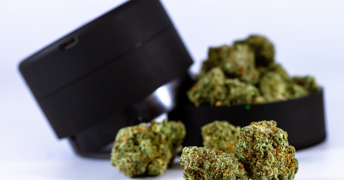 découvrez les cannabis clubs : des espaces conviviaux dédiés à la culture, l'échange et la consommation de cannabis. rejoignez une communauté passionnée, participez à des événements exclusifs et informez-vous sur les dernières tendances et législations liées au cannabis.
