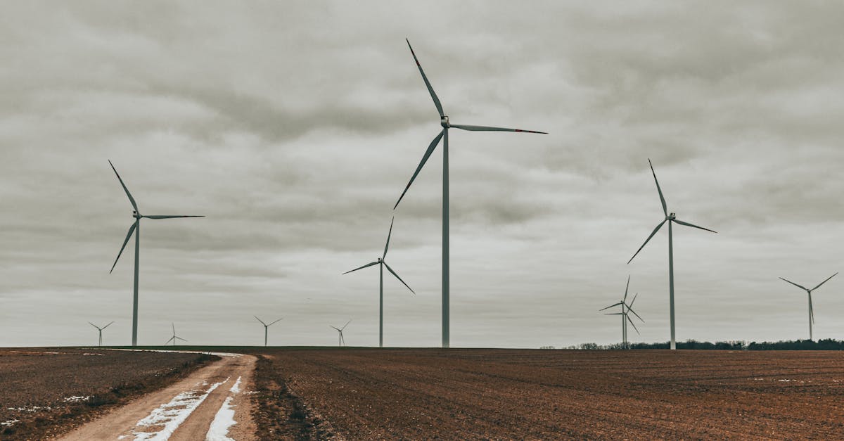découvrez les enjeux et les opportunités de la transition énergétique. apprenez comment les technologies renouvelables et les politiques durables transforment notre société pour un avenir plus vert et éco-responsable.