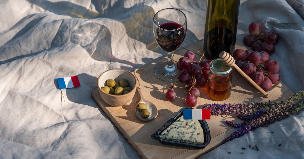 découvrez l'industrie viticole française, synonyme d'excellence et de tradition. plongez dans l'univers des vins de qualité, des terroirs diversifiés et des savoir-faire uniques qui font la renommée des vins de france à travers le monde.