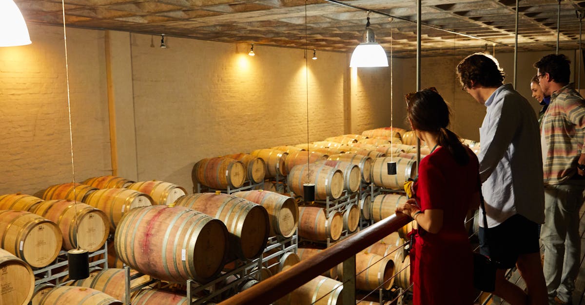 découvrez l'industrie viticole française, un symbole d'excellence et de tradition, qui allie savoir-faire ancestral et innovation. plongez dans l'univers des vignobles prestigieux, des cépages raffinés et des terroirs uniques, et explorez comment la france continue de façonner la culture du vin dans le monde entier.
