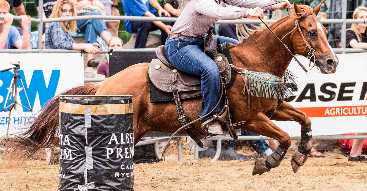 découvrez l'univers passionnant des courses de chevaux : des chevaux majestueux, des jockeys talentueux et l'adrénaline des paris. suivez les dernières actualités, analysez les performances des chevaux et plongez dans l'excitation des compétitions équestres.