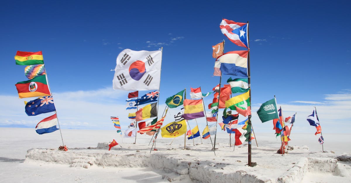 découvrez comment réussir votre expansion internationale grâce à des stratégies efficaces, des conseils pratiques et des études de cas inspirantes. transformez votre entreprise en une marque mondiale et saisissez de nouvelles opportunités sur le marché international.