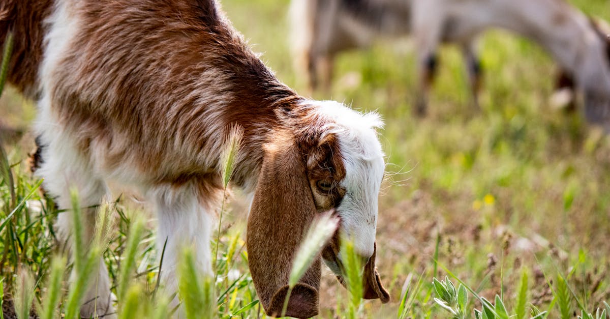 découvrez tout sur le roe (retour sur investissement) : définition, calcul et importance pour évaluer la rentabilité d'une entreprise. apprenez à optimiser vos performances financières grâce à cette méthode essentielle.