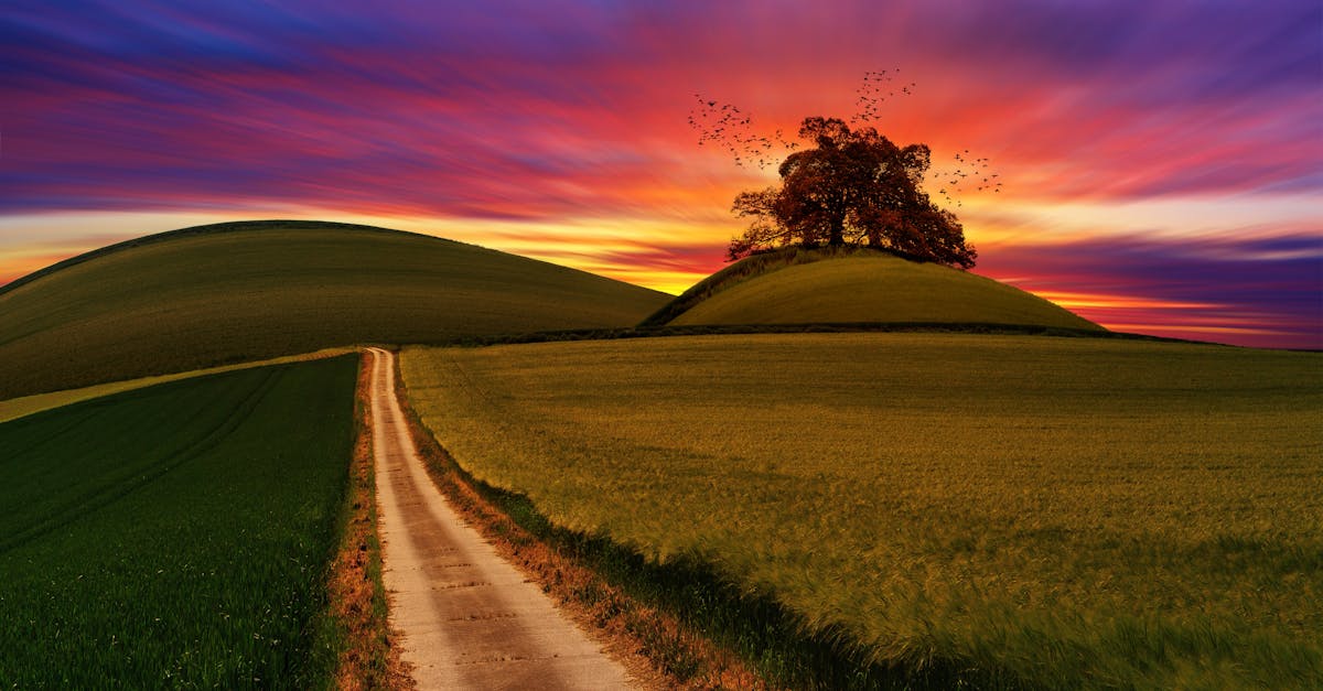 découvrez les avantages du voyage sans visa, simplifiant vos déplacements à travers le monde. explorez de nouvelles destinations sans les tracas administratifs grâce aux accords de voyage. profitez d'une liberté de mouvement pour des vacances inoubliables!