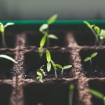 découvrez les stratégies essentielles pour favoriser la croissance personnelle et professionnelle. apprenez à surmonter les obstacles, à développer vos compétences et à maximiser votre potentiel grâce à des conseils pratiques et des ressources inspirantes.
