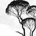 découvrez l'univers fascinant de l'art, où la créativité et l'imagination prennent vie à travers des œuvres inspirantes, des techniques variées et des mouvements artistiques emblématiques. explorez les artistes, les styles et les tendances qui façonnent le monde de l'art contemporain et classique.