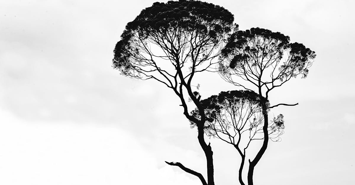 découvrez l'univers fascinant de l'art, où la créativité et l'imagination prennent vie à travers des œuvres inspirantes, des techniques variées et des mouvements artistiques emblématiques. explorez les artistes, les styles et les tendances qui façonnent le monde de l'art contemporain et classique.