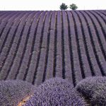 découvrez les initiatives françaises innovantes qui façonnent l'avenir, mettant en avant la culture, l'économie, et l'environnement. explorez des projets inspirants et des actions concrètes qui font bouger la france.