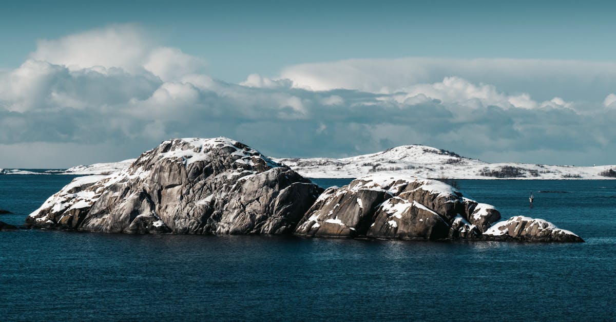 découvrez nos délicieuses frites surgelées, croustillantes à l'extérieur et moelleuses à l'intérieur. prêtes en quelques minutes, elles sont idéales pour accompagner vos plats ou comme en-cas savoureux. simplifiez vos repas avec nos frites surgelées de qualité.